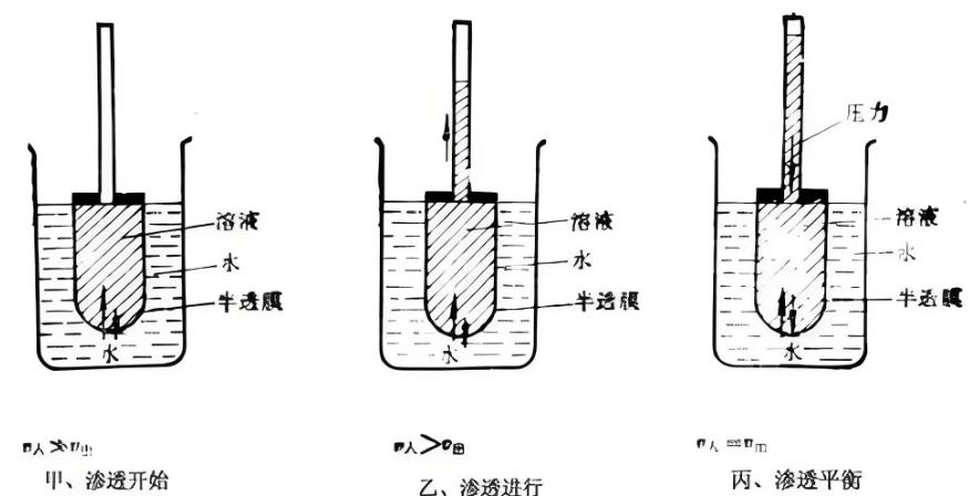 浸与渗：解析二者的差异